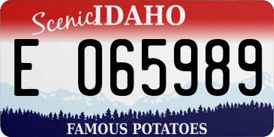 ID license plate E065989