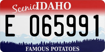 ID license plate E065991