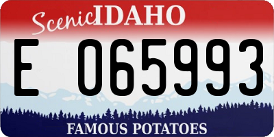 ID license plate E065993