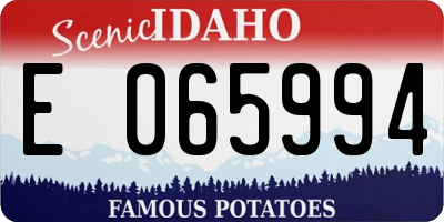 ID license plate E065994
