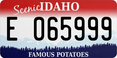 ID license plate E065999