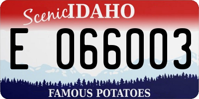 ID license plate E066003