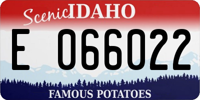 ID license plate E066022