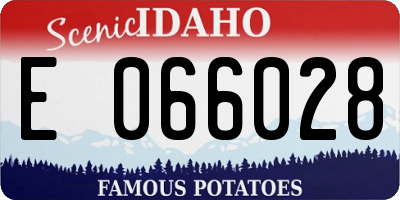 ID license plate E066028
