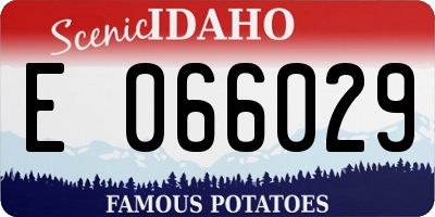 ID license plate E066029