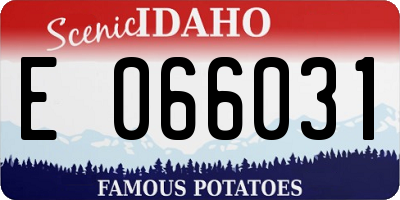 ID license plate E066031