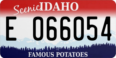ID license plate E066054