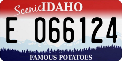 ID license plate E066124