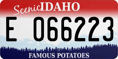 ID license plate E066223