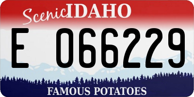 ID license plate E066229