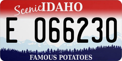 ID license plate E066230