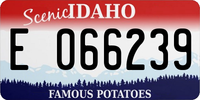 ID license plate E066239