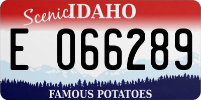 ID license plate E066289