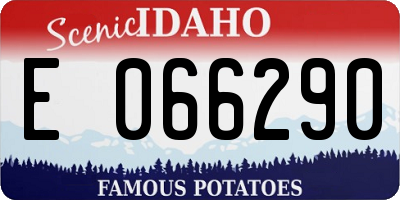 ID license plate E066290