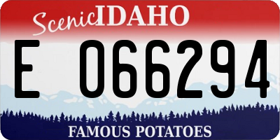 ID license plate E066294