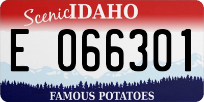 ID license plate E066301
