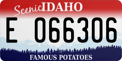 ID license plate E066306