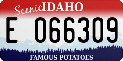 ID license plate E066309