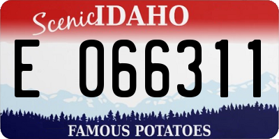 ID license plate E066311