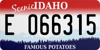 ID license plate E066315