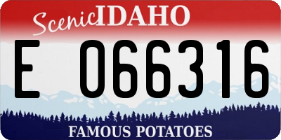 ID license plate E066316