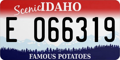 ID license plate E066319