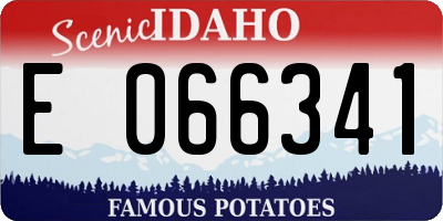 ID license plate E066341