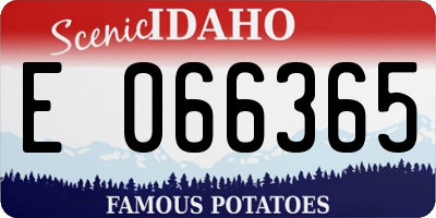ID license plate E066365
