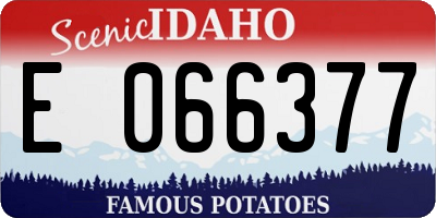 ID license plate E066377