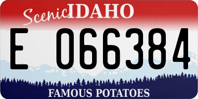 ID license plate E066384