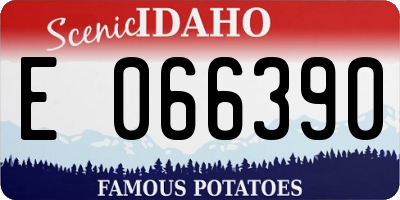 ID license plate E066390