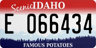 ID license plate E066434