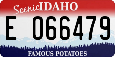 ID license plate E066479