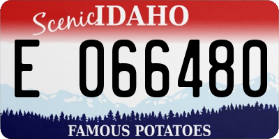 ID license plate E066480