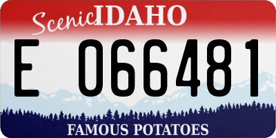 ID license plate E066481