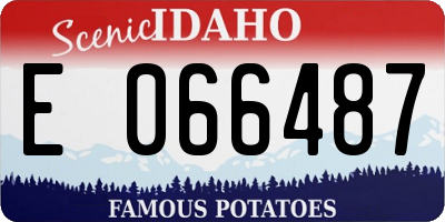 ID license plate E066487