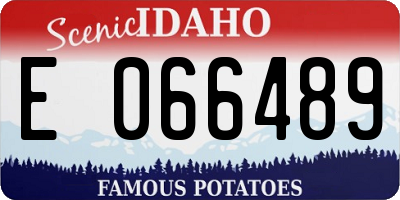 ID license plate E066489