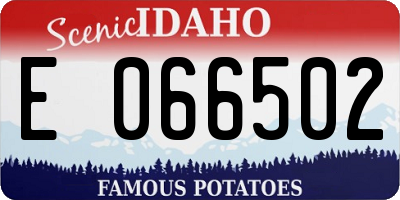 ID license plate E066502