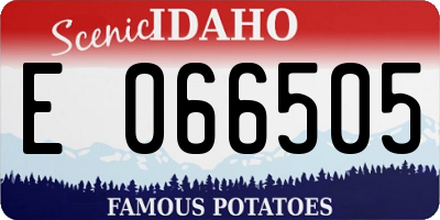 ID license plate E066505