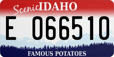 ID license plate E066510