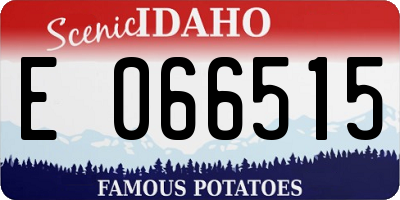 ID license plate E066515