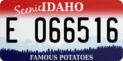 ID license plate E066516