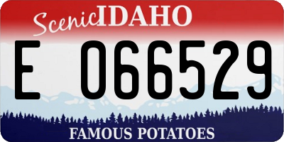 ID license plate E066529