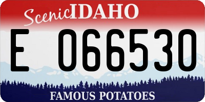 ID license plate E066530