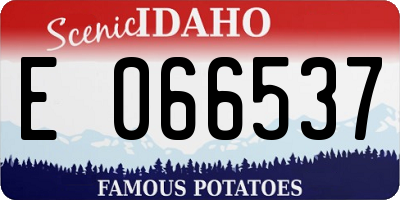 ID license plate E066537