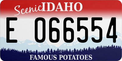 ID license plate E066554