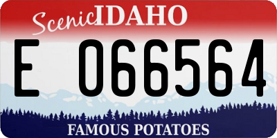 ID license plate E066564