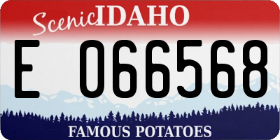ID license plate E066568
