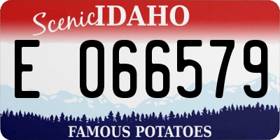 ID license plate E066579