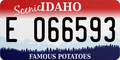 ID license plate E066593